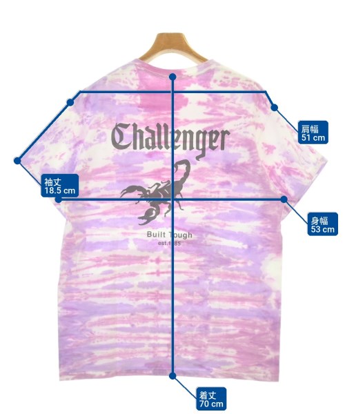CHALLENGER（チャレンジャー）Tシャツ・カットソー 紫 サイズ:L メンズ/2200735764026