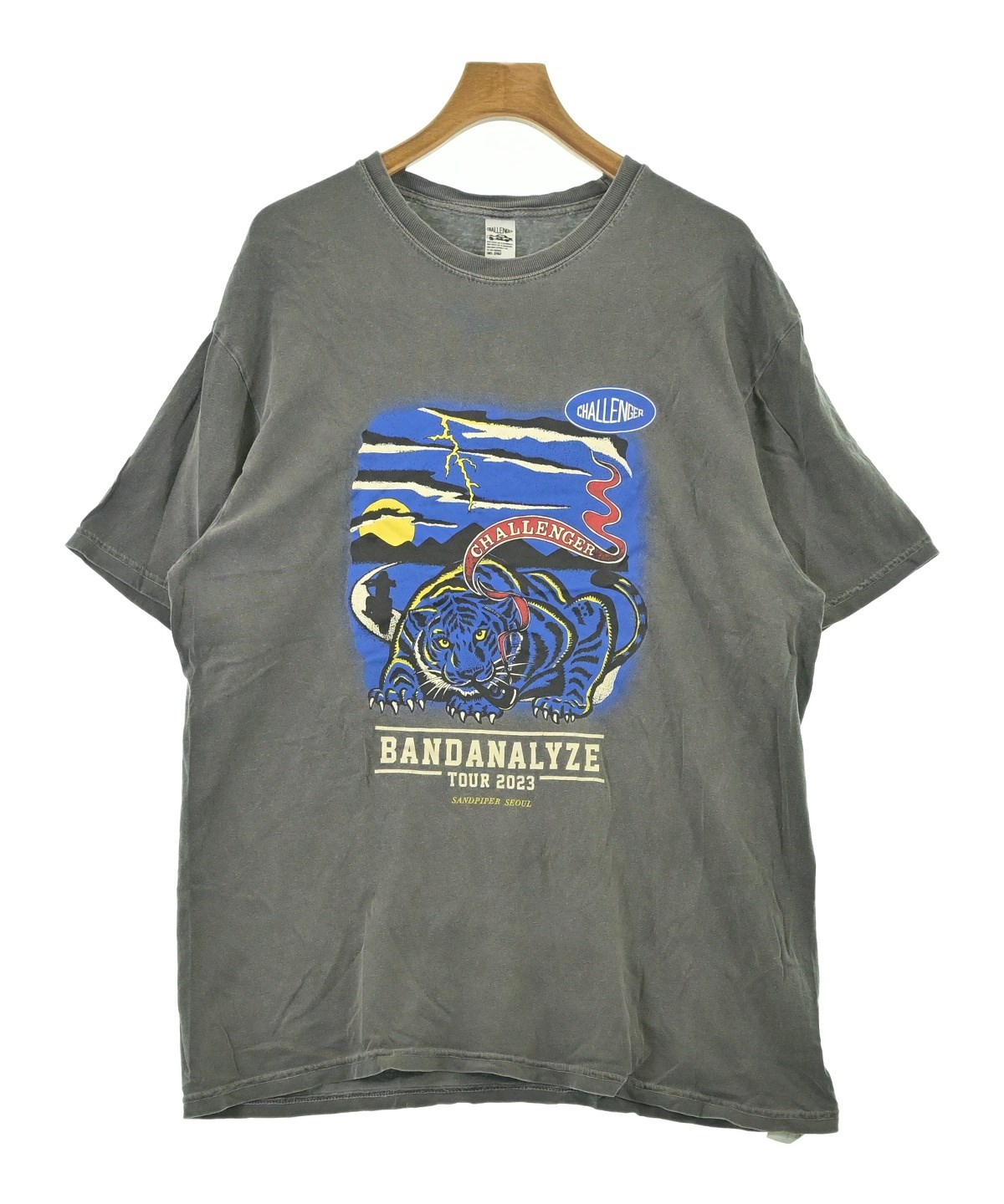 CHALLENGER（チャレンジャー）Tシャツ・カットソー グレー サイズ:XL