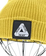 PALACE（パレス）ニットキャップ・ビーニー 緑 サイズ:- メンズ/2200618638321