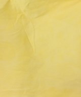 PALACE（パレス）デニムパンツ 黄 サイズ:34(XL位) メンズ/2200649269068