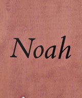 Noah（ノア）小物類（その他） 茶 サイズ:- メンズ/2200653995014