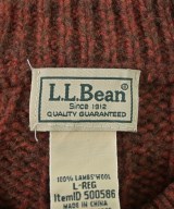 L.L.Bean（エルエルビーン）ニット・セーター オレンジ サイズ:L メンズ/2200652272048