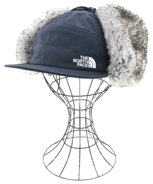 ザノースフェイス(THE NORTH FACE)のTHE NORTH FACE キャップ