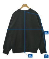 THE NORTH FACE（ザノースフェイス）スウェット 黒 サイズ:L メンズ/2200633948450