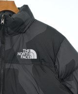 THE NORTH FACE（ザノースフェイス）ダウンジャケット/ダウンベスト グレー サイズ:L メンズ/2200643021013