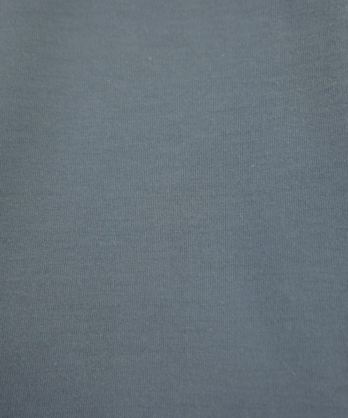 THE NORTH FACE（ザノースフェイス）Tシャツ・カットソー 青 サイズ:L メンズ/2200611228116