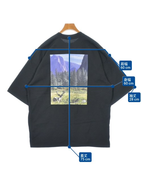 THE NORTH FACE（ザノースフェイス）Tシャツ・カットソー 黒 サイズ:XL メンズ/2200621688054