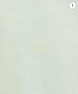 THE NORTH FACE（ザノースフェイス）Tシャツ・カットソー 白 サイズ:M レディース/2200623782019