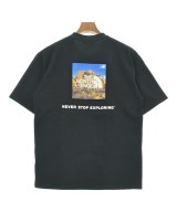 THE NORTH FACE（ザノースフェイス）Tシャツ・カットソー 黒 サイズ:M メンズ/2200625122073