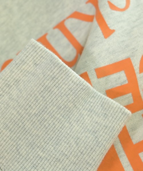 THE NORTH FACE（ザノースフェイス）パーカー グレー サイズ:L メンズ/2200626949037