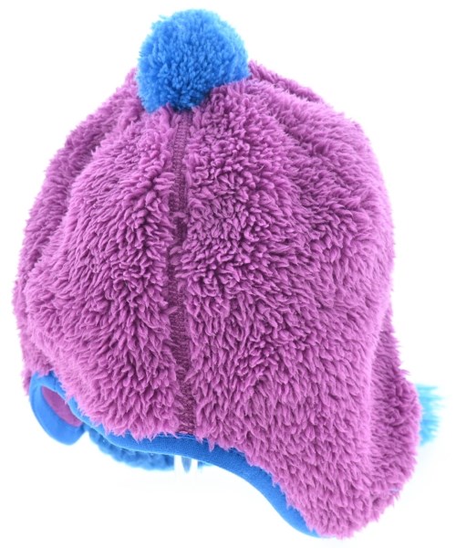 THE NORTH FACE（ザノースフェイス）小物類（その他） 紫 サイズ:F キッズ/2200628066091