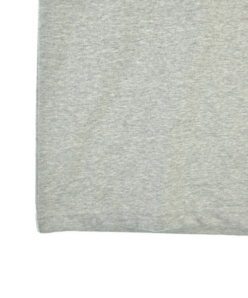 THE NORTH FACE（ザノースフェイス）Tシャツ・カットソー グレー サイズ:L メンズ/2200616112151