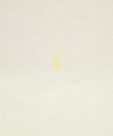 THE NORTH FACE（ザノースフェイス）Tシャツ・カットソー 白 サイズ:M メンズ/2200619650223