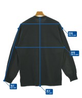 THE NORTH FACE（ザノースフェイス）Tシャツ・カットソー 黒 サイズ:L メンズ/2200671295028