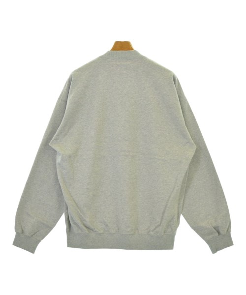 THE NORTH FACE（ザノースフェイス）スウェット グレー サイズ:L メンズ/2200680264015