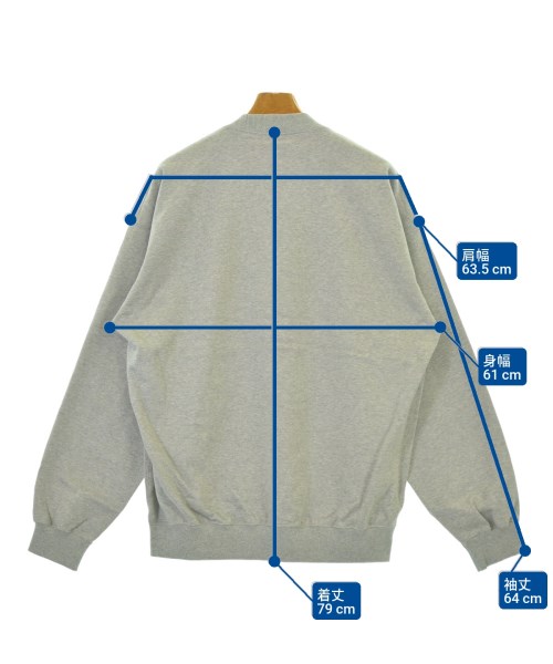 THE NORTH FACE（ザノースフェイス）スウェット グレー サイズ:L メンズ/2200680264015