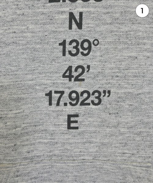 THE NORTH FACE（ザノースフェイス）パーカー グレー サイズ:L メンズ/2200680674012