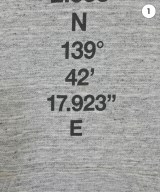 THE NORTH FACE（ザノースフェイス）パーカー グレー サイズ:L メンズ/2200680674012