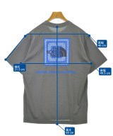 THE NORTH FACE（ザノースフェイス）Tシャツ・カットソー グレー サイズ:M メンズ/2200708581124