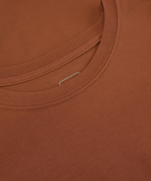 THE NORTH FACE（ザノースフェイス）Tシャツ・カットソー 茶 サイズ:S レディース/2200712769013
