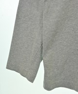 THE NORTH FACE（ザノースフェイス）Tシャツ・カットソー グレー サイズ:L メンズ/2200705368056