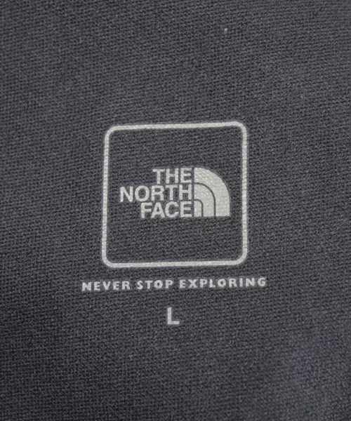 THE NORTH FACE（ザノースフェイス）Tシャツ・カットソー グレー サイズ:L メンズ/2200656943180