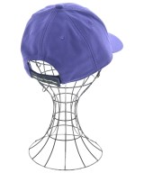 THE NORTH FACE（ザノースフェイス）キャップ 紫 サイズ:F メンズ/2200666889744