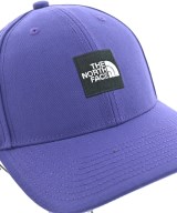 THE NORTH FACE（ザノースフェイス）キャップ 紫 サイズ:F メンズ/2200666889744