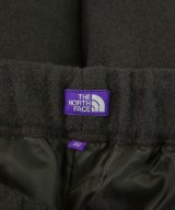 THE NORTH FACE PURPLE LABEL（ザノースフェイスパープルレーベル）その他 茶 サイズ:32(L位) メンズ/2200676612158