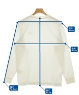 THE NORTH FACE（ザノースフェイス）Tシャツ・カットソー 白 サイズ:M メンズ/2200680054326