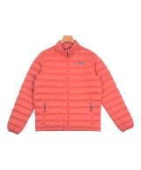 patagonia ダウンジャケット/ダウンベスト