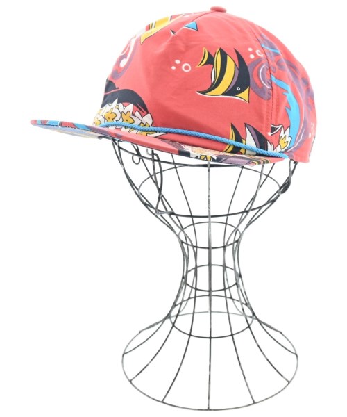 パタゴニア(patagonia)のpatagonia キャップ