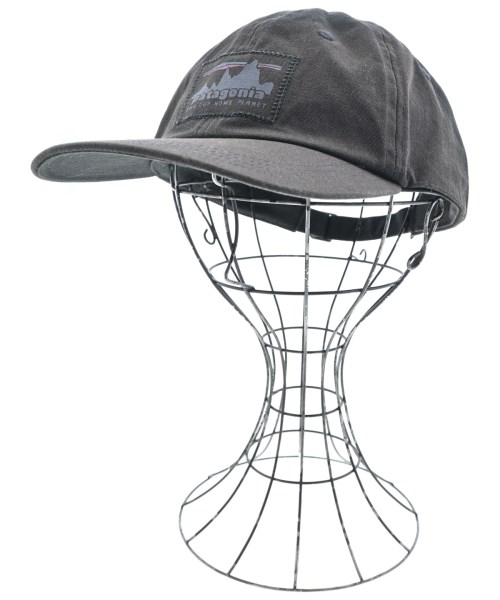 パタゴニア(patagonia)のpatagonia キャップ