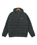 patagonia ダウンジャケット/ダウンベスト