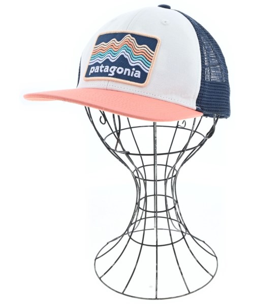 パタゴニア(patagonia)のpatagonia キャップ