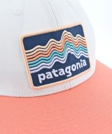 Patagonia（パタゴニア）キャップ 紺 サイズ:ALL メンズ/2200633915148