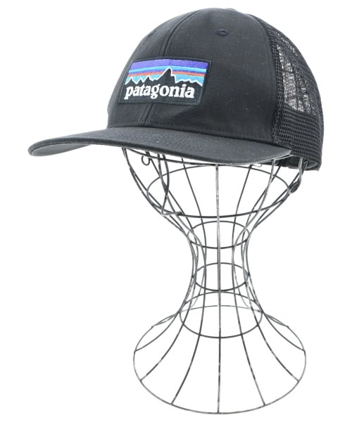 パタゴニア(patagonia)のpatagonia キャップ