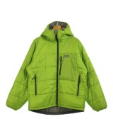 patagonia ダウンジャケット/ダウンベスト