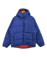 patagonia ダウンジャケット/ダウンベスト