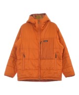 patagonia ダウンジャケット/ダウンベスト