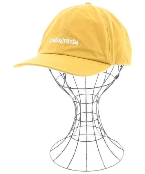パタゴニア(patagonia)のpatagonia キャップ