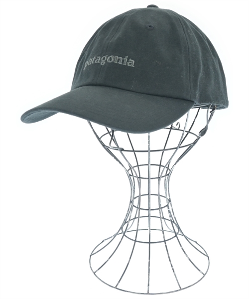 パタゴニア(patagonia)のpatagonia キャップ