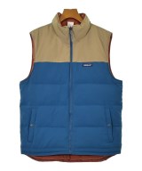 patagonia ダウンジャケット/ダウンベスト