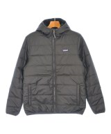 patagonia ダウンジャケット/ダウンベスト