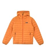patagonia ダウンジャケット/ダウンベスト