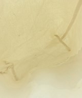 Patagonia（パタゴニア）トートバッグ 白 サイズ:- メンズ/2200627768439