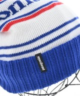 Patagonia（パタゴニア）ニットキャップ・ビーニー 白 サイズ:ONE メンズ/2200612041059