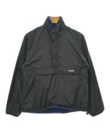 patagonia マウンテンパーカー
