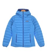 patagonia ダウンジャケット/ダウンベスト