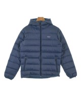patagonia ダウンジャケット/ダウンベスト